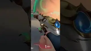 1 Bullet and a Dream...
