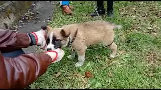 Новый член нашей семьи.