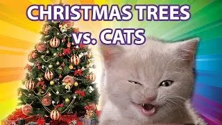 Funny Cats vs Christmas Trees