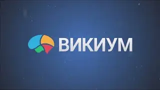 Викиум дуэли в прямом эфире! Тренажеры для мозга, на память внимание и реакцию