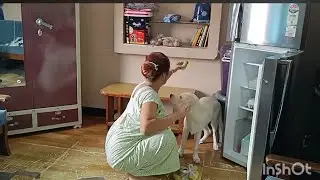  housewife🏡 cleaning bloge🔥 housewife vlogs 😜📸