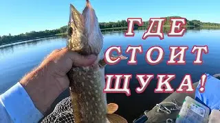 ГДЕ СТОИТ ЩУКА на озере! Там где клюёт! Рыбалка на щуку!