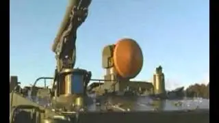 Хризантема 1
