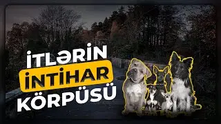 Paranormal#1 Overtaun Körpüsü (Overtoun Bridge)