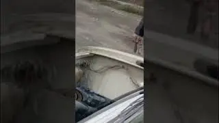 Горячий контент