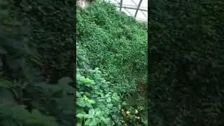 🦋🦋🦋🦋
