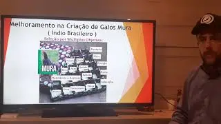 Estrategias para Melhoramento Genetico na Criação