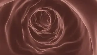 How to make a blood vessel in blender 2.8
