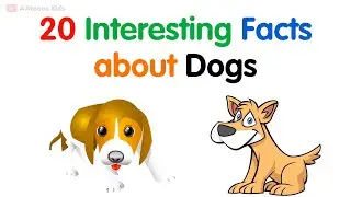 20 Interesting facts about Dog | Facts about Dogs | 