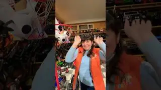 In search of Bro with Freddy 