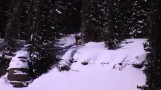 SLEDFILM 13 Amateur YETI Winner - www.sledfilm.com