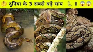 दुनिया के 3  सबसे बड़े सांप ll 😱 3 largest snakes in the world 🌍 ll #facts #animals #shorts #short