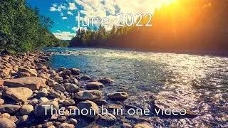 80 minutes of epic background relaxation music - June 2022 - Mind Drifter