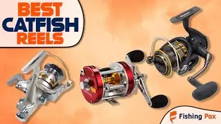 Best Catfish Reels (Catch Big River Catfish With These Top Models!)