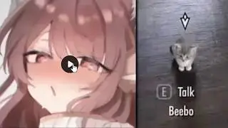 Memes From My Discord Server V21