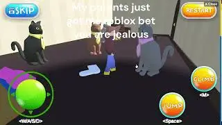 My parents just got me roblox bet you are jealous