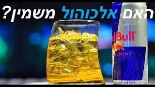 האם אלכוהול משמין ואיך הוא משפיע על הגוף