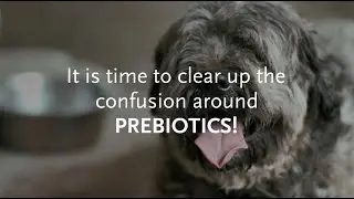 The only proven prebiotics for pet food revealed!