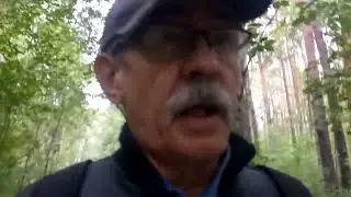 мои стихи