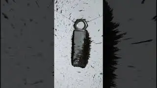 Visualizing Magnetic Fields with Slow Mo 