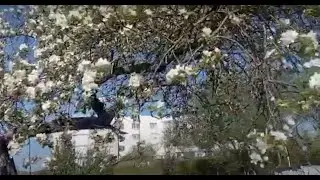Слово протеиерея Виктора Белякова в Великий Четверг.