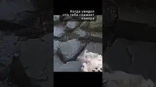 Улыбнись ,тебя снимает скрытая камера #funny