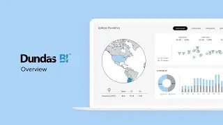 Dundas BI Overview : An Embedded Business Intelligence Tool