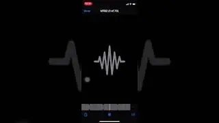Playboi Carti Miss the Rage leak snippet