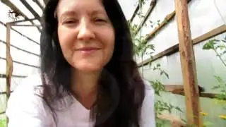Цветы. Обзор. Сальпиглоссис, эустома, брахикома и многое другое.