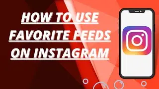 How to use favorite feeds on instagram