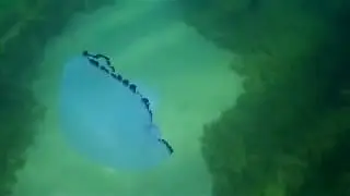 2018 1021 175432 007