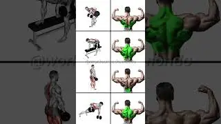 STRONGER Back with DUMBBELLS: Best Dumbbell Back Workout!