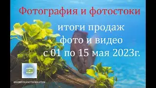 Photostocks and Photobanks. Sale of photos and videos on photo stocks from May 01 to May 15, 2023.