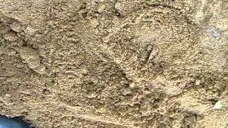 AT-GOLD катушка 8,5х11 тест на глубину обнаружения ювелирки.
