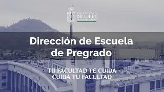 Red de Apoyo Integral - Dirección de Escuela de Pregrado