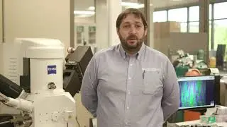 Metrology Capabilities