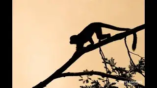 Tour virtual Guaviare By Outlanders