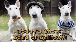 Band of Bullies