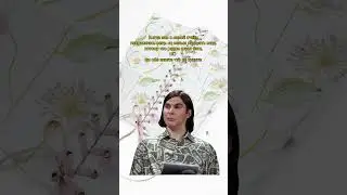 Только так и никак иначе 😂👌🏽 Корсет выполнен из нашей ткани art: 13668 #rap #мем #юмор #мода