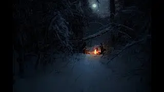 Зимний поход в лес. Краткий обзор нашего 4-х дневного похода.