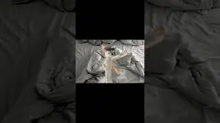 Можно актив?(