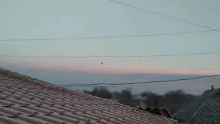 24.02.22.Увидел  утро  первого  дня  войны .