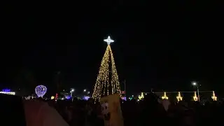Lighting of the Christmas Tree RMI 2021