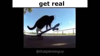 remix 8 - get real cats (full)