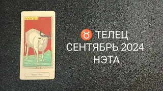 ♉ ТЕЛЕЦ СЕНТЯБРЬ 2024 от Нэты