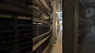 HIGHTOP Automatic Layer Equipment