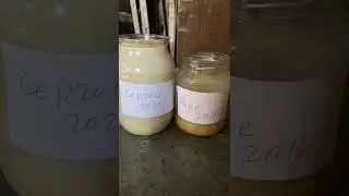 Мёд пасеки Медопасека