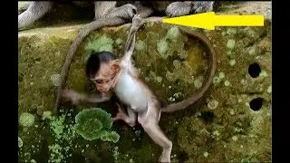 WOW ! Awesome ! One toe save baby Polly | Popeye quick save Polly from falling down.