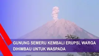 Gunung Semeru Kembali Erupsi, Warga Di Himbau Waspadai Hujan Abu