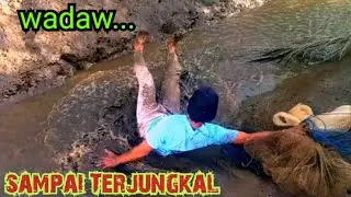 menjala di parit kecil yang di huni gerombolan anakan ikan belanak/net fishing